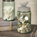 Pint Mason Jar With Songbird Lid - Barn Roof