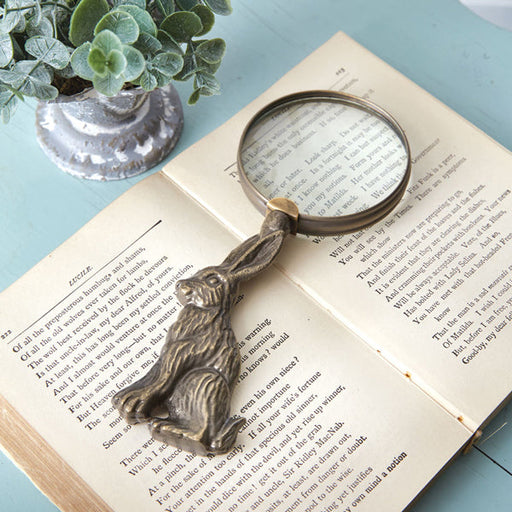 Hare Magnifying Glass