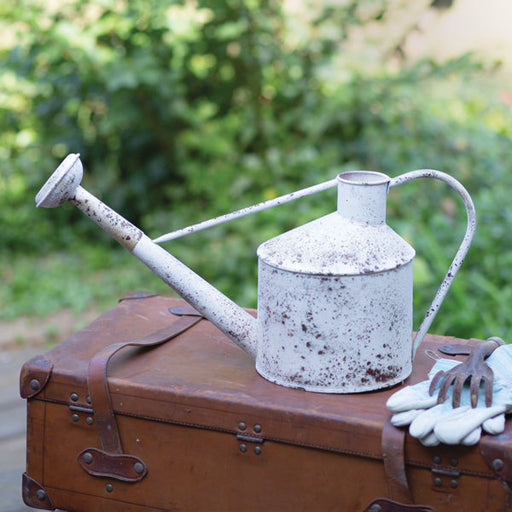 Speckled Rose Watering Can