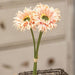 Triple Gerbera Daisy Bouquet Peach