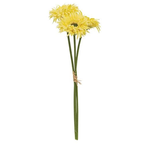 Triple Gerbera Daisy Bouquet Light Yellow