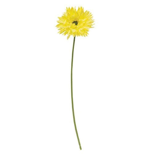 Gerbera Daisy Stem Lemon Yellow