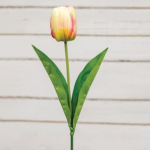 Champagne Tulip Stem 17.5"