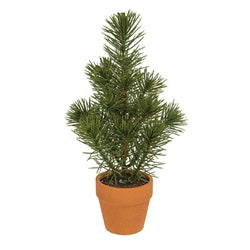 Mini Pine Tree In Terra Cotta Pot 10" 3 Asstd.