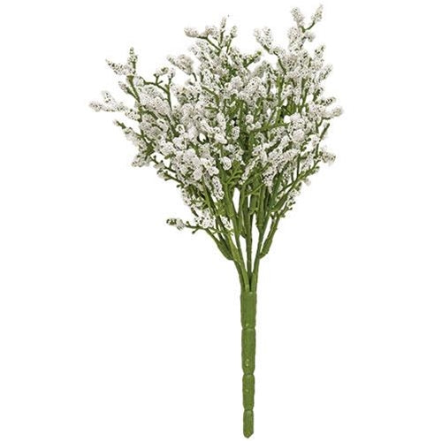 Array Astilbe Bush White