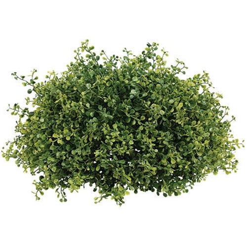 Pennington Boxwood Half Sphere 15"