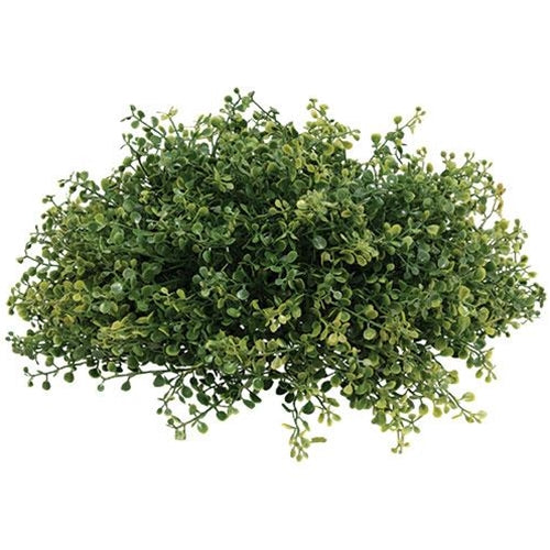 Pennington Boxwood Half Sphere 13"