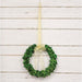 Preserved Boxwood Wreath 10"