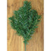 Canadian Pine Spray 12"