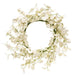 Foamy Silver Dollar Wreath Cream 20"