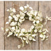 Foamy Silver Dollar Wreath Cream 16"