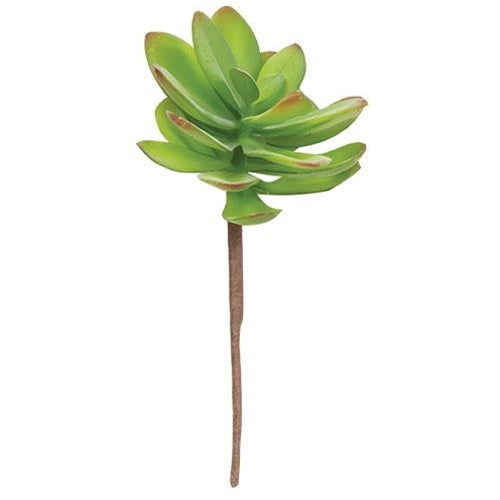 Torch Succulent Pick