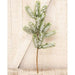 Snowscape Pine Pick