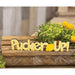 Pucker Up! Wooden Word Cutout Sitter