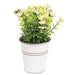 White Astilbe Flowers in White Metal Garden Bucket