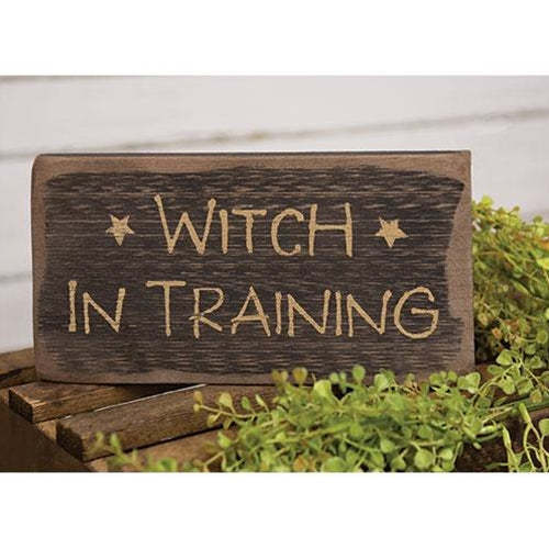 Witch in Training Distressed Barnwood Sign