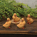 4/Set Resin Ducklings