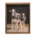 Two Holstein Cows Framed Print 8x10