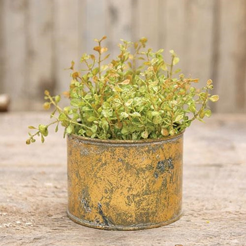 Distressed Gold Round Bucket