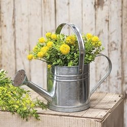 Galvanized Metal Watering Can