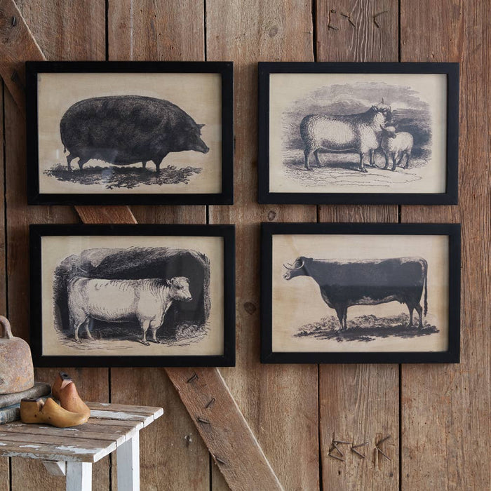 Homestead Framed Canvas - Bull