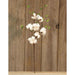 Cotton & Willow Leaves Spray 24"